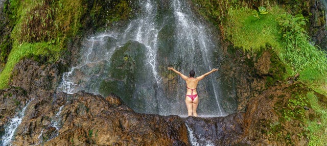 Coffee Farm + Hot Springs Excursion